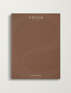 Ficha técnica