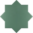 New York star 13,6x13,6 Green LB64